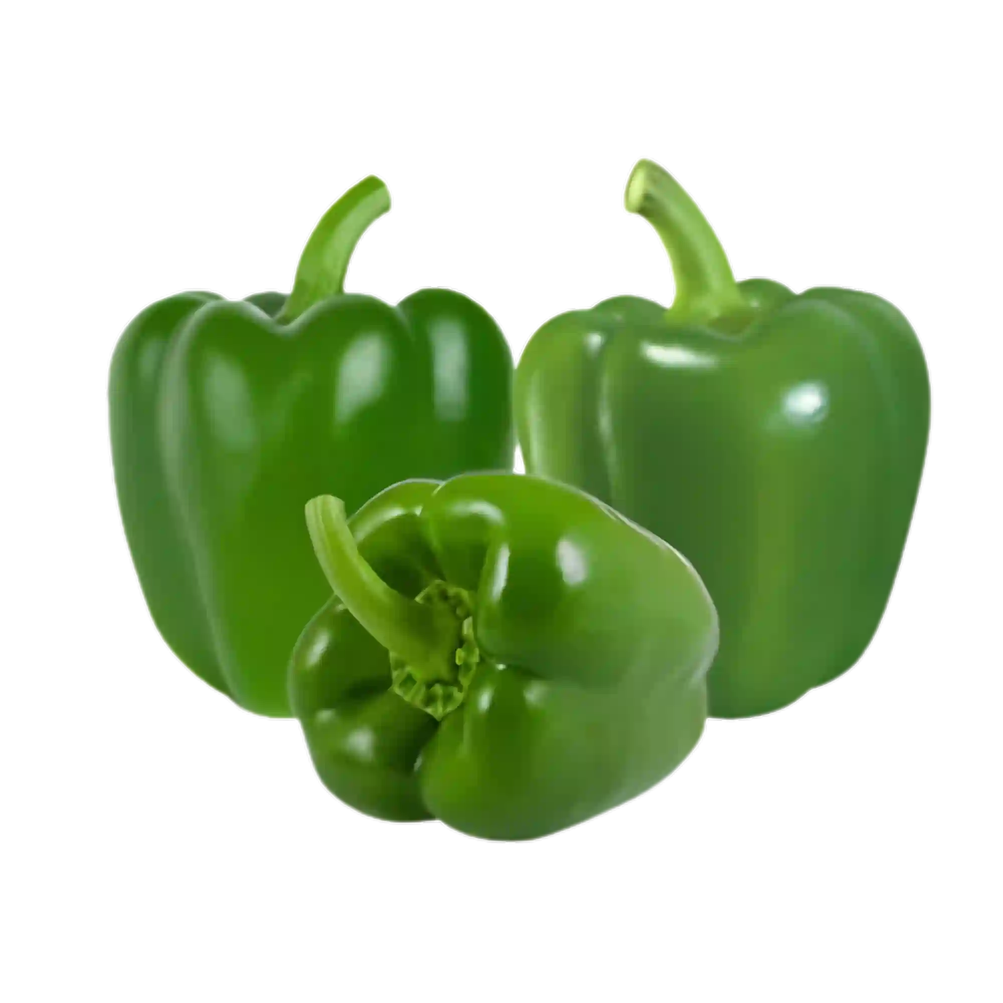 Capsicum