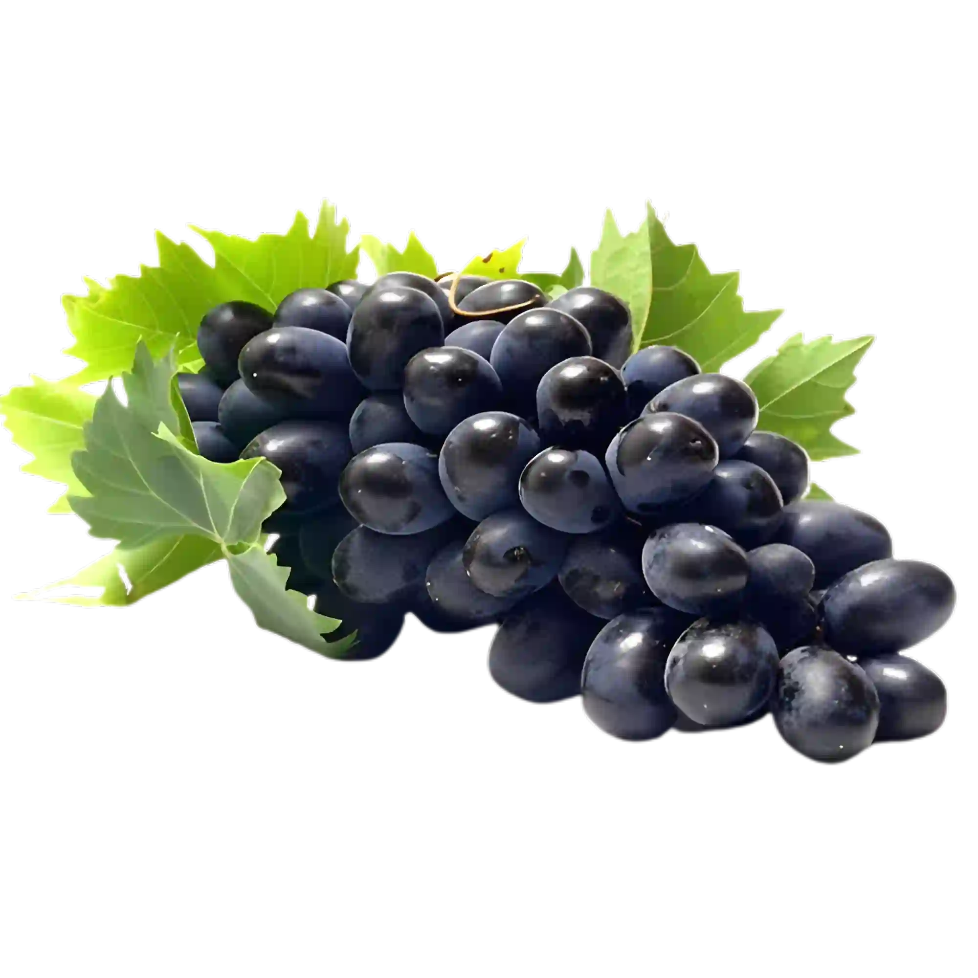 Black Grape