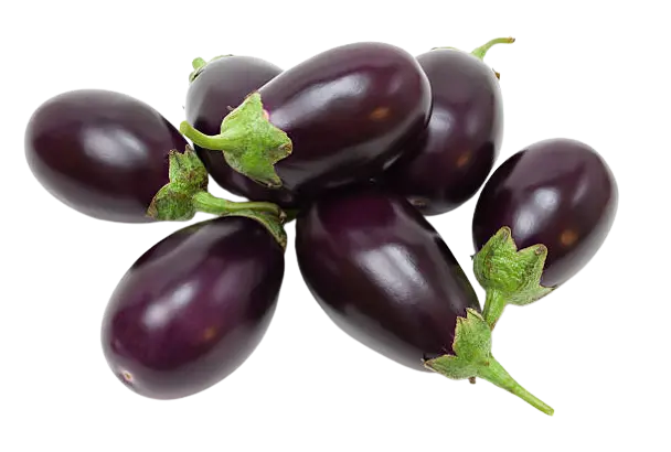 Brinjal