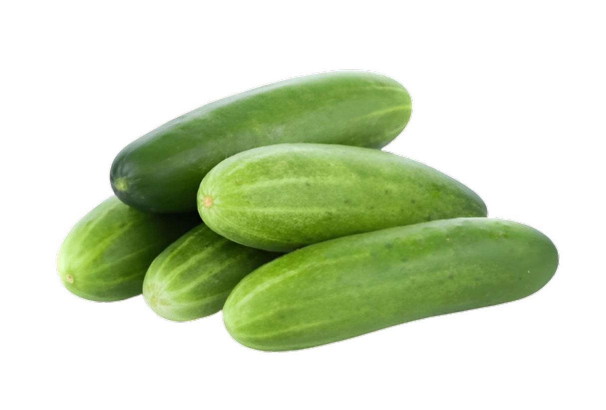Cucumber