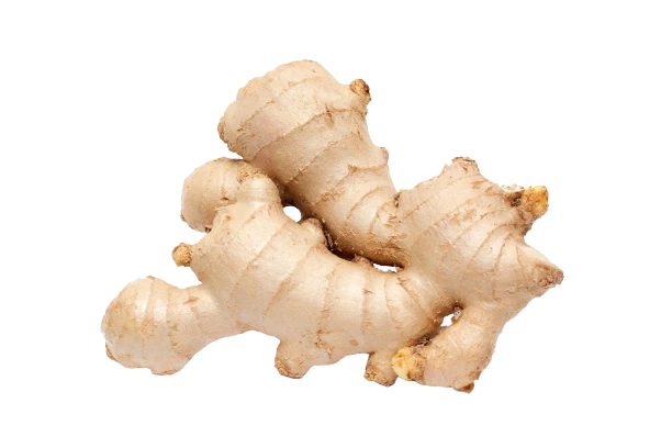 Ginger