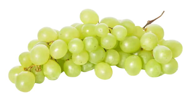 Grapes