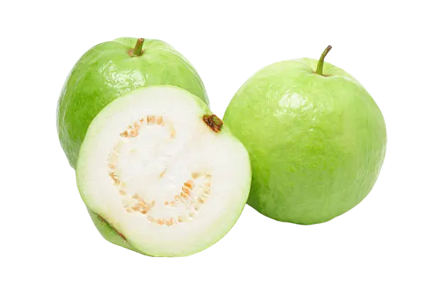Guava