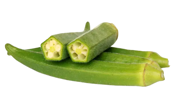 Lady finger