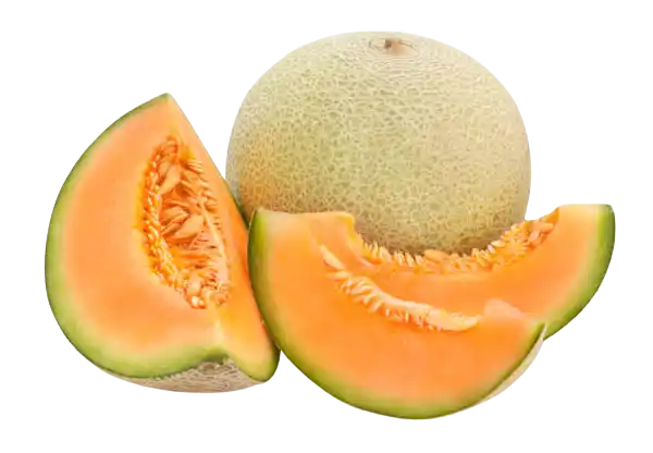 Muskmelon