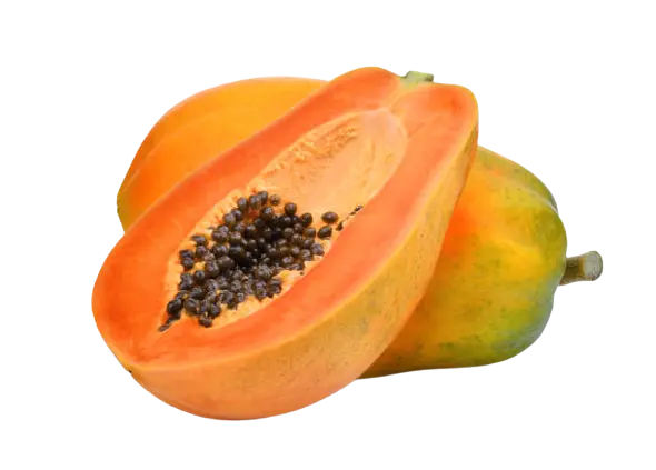 Papaya
