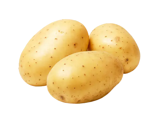 Potato